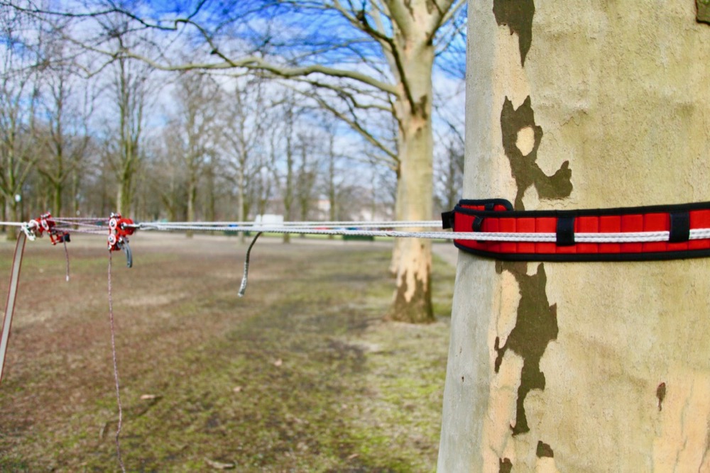 Whoopies on Trees as Slackline Anchors?